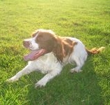 click for a larger view